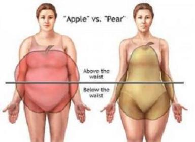 apple-and-pear-body-shape